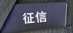 征信類公司轉(zhuǎn)讓全部股權(quán)